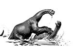 Dinokids Water Play